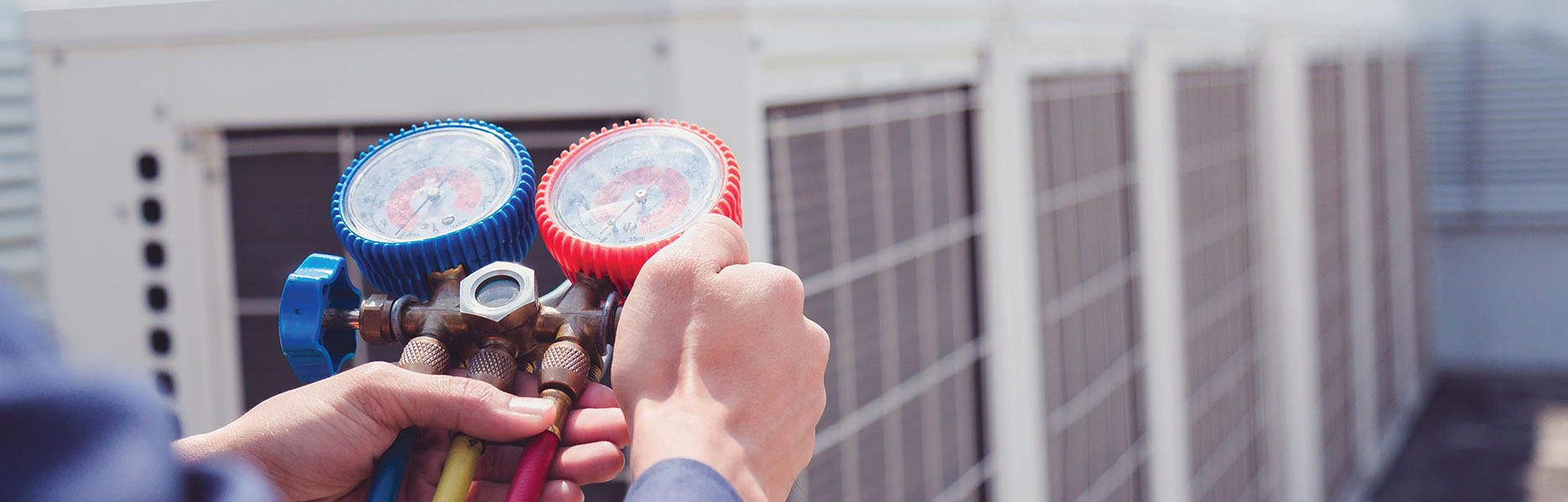 Temperature Regulator